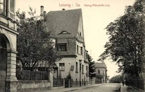 Ak Leisnig in Sachsen, König Albert Straße