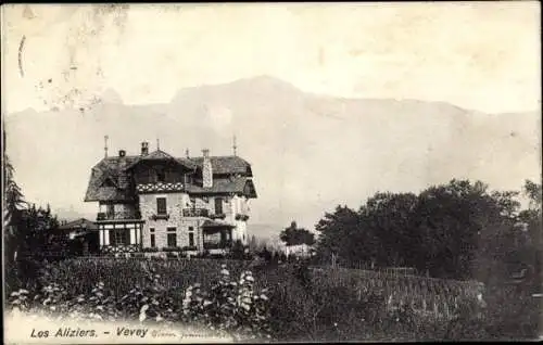 Ak Vevey Kanton Waadt, Les Aliziers
