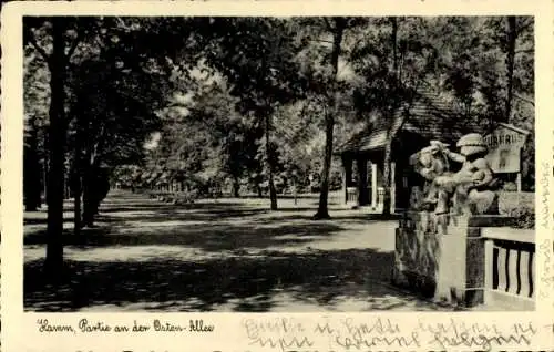 Ak Hamm in Westfalen, Ostenallee