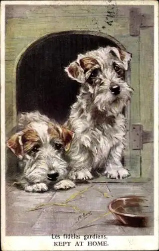 Künstler Ak Zwei Terrier in einer Hundehütte