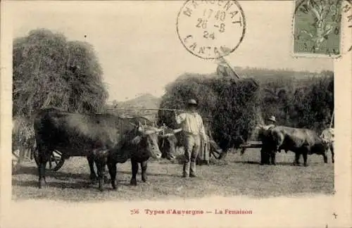 Ak Auvergne, Heuernte, Bauern, Fuhrwerke, Rinder