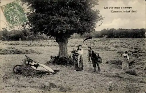 Ak Life in the Fields, Wie gut sie schläft