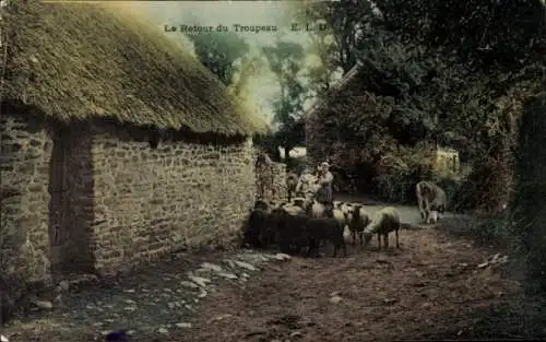 Ak Bauernhof, Schafherde, Landwirtschaft