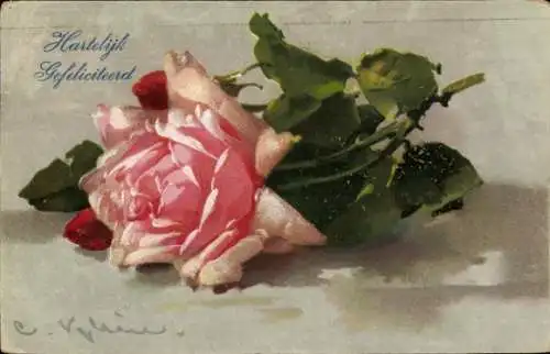 Künstler Ak Klein, Catharina, Einzelne rosa Rosenblüte, Blume
