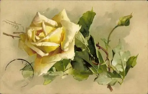 Künstler Litho Klein, Catharina, Eine gelbe Rose