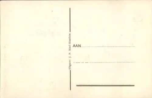 Ak Haarlem Nordholland, Orgel in der Großen Kirche