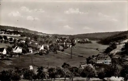 Ak Wildensee Eschau im Spessart, Teilansicht, Die Insel der Ruhe