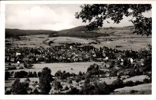 Ak Schlüchtern in Hessen, Totalansicht