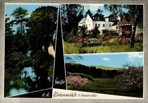 Ak Hausen Waldbrunn Westerwald, Privat-Pension Birkenmühle, Panorama