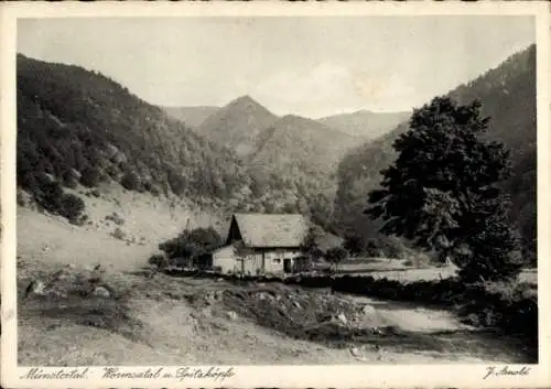 Ak Münstertal Elsass Haut Rhin, Wormsatal, Spitzköpfe