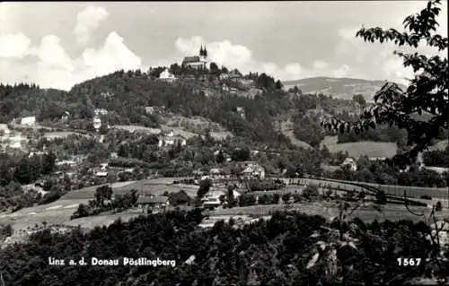 Ak Linz an der Donau Oberösterreich, Pöstlingberg, Panorama