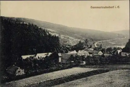 Ak Hammerleubsdorf Leubsdorf in Sachsen, Gesamtansicht