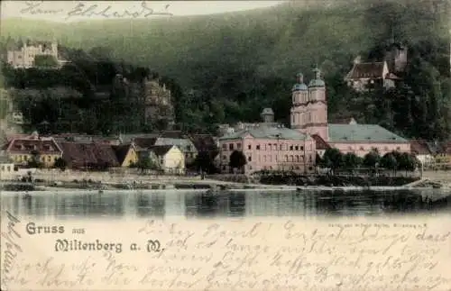 Ak Miltenberg am Main Unterfranken, Wasserpartie, Schloss, Häuser