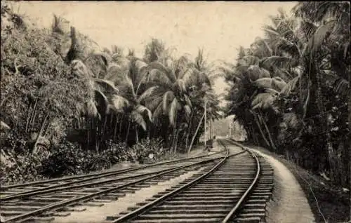 Ak Ceylon Sri Lanka, Sea Side Railway passing through Cocoanut Estate