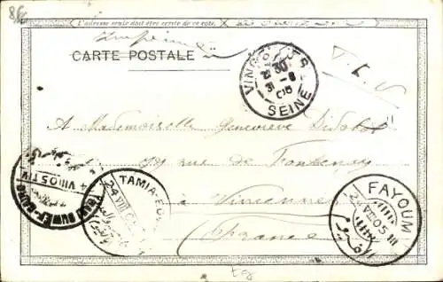 Ak Ägypten, Farm, Palmen