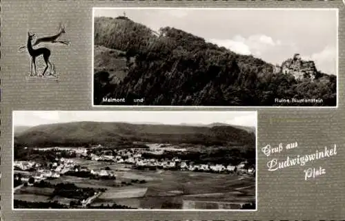 Ak Ludwigswinkel in der Pfalz, Maimont, Ruine Blumenstein, Panorama, Rehe