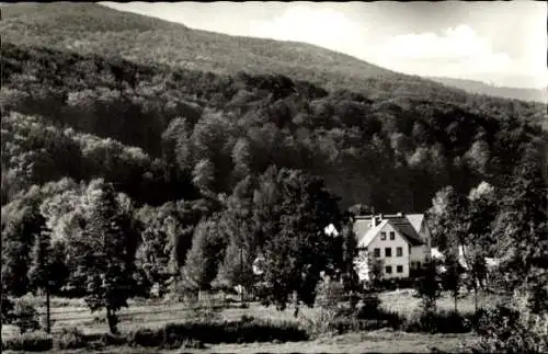 Ak Tann in der Rhön Osthessen, Teilansicht