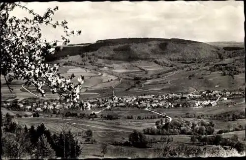 Ak Wüstensachsen Ehrenberg in der Rhön, Stirnberg, Panorama