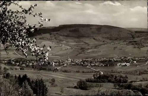 Ak Wüstensachsen Ehrenberg in der Rhön, Stirnberg, Panorama