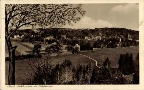 Ak Bad Salzhausen Nidda in Hessen, Panorama