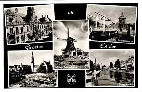Ak Leiden Südholland Niederlande, Rathaus, Windmühle Nordmann, Brücke