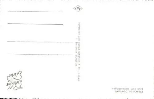 Ak Erbach im Odenwald Hessen, Rathausbogen