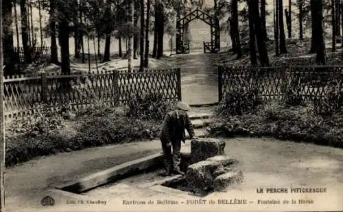 Ak Bellême Orne, Foret de Belleme, Fontaine de la Herse