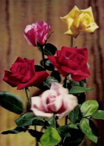 3-D Ak Blumenstrauß, Blühende Rosen