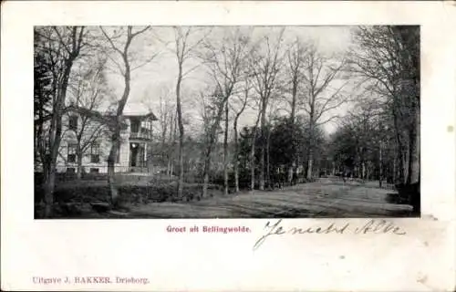 Ak Bellingwolde Groningen, Straße, Allee