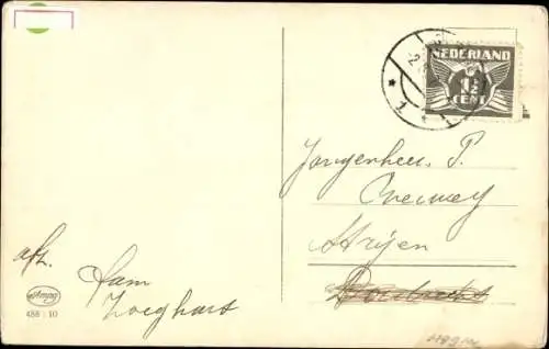 Ak Vier kleine Hunde, Gruppenbild, Tierportrait