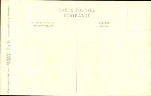 Künstler Ak Dupond, Hub., Chaucas des Tours, Kauw, Nr. 205