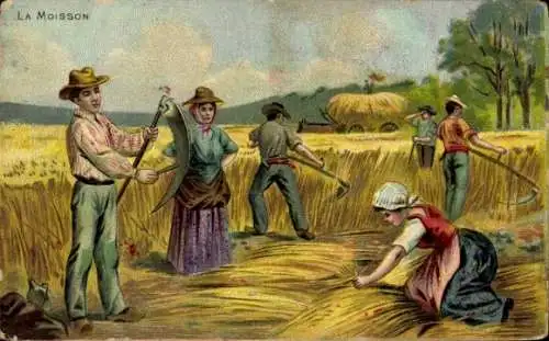 Ak Heuernte, Bauern, Pferd, Landwirtschaft, Sense