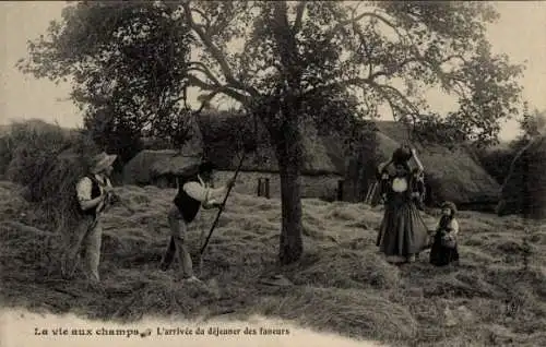 Ak Leben auf den Feldern, Die Ankunft des Heumacher-Mittagessens
