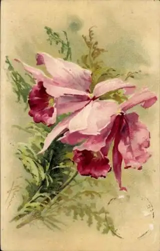 Künstler Litho Klein, C., Rosa Blumen