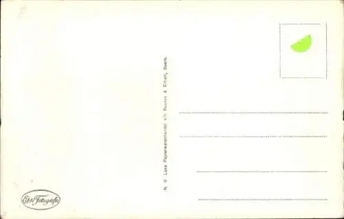 Ak 4 junge Katzen, Tierportrait