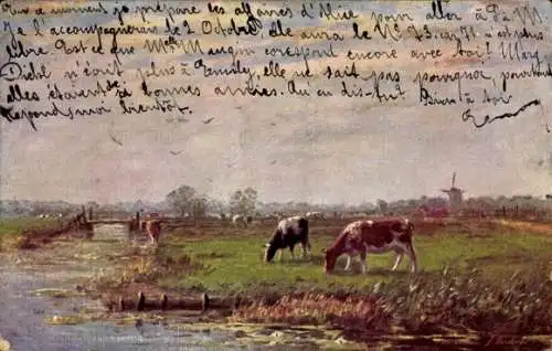 Künstler Ak Rinder auf der Weide