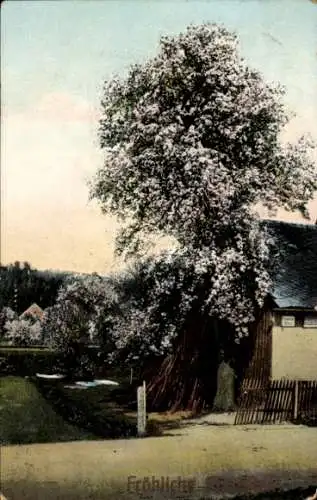 Ak Glückwunsch Pfingsten, Blühender Baum