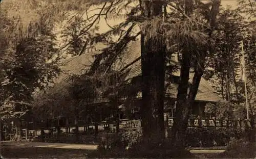 Ak Kiel, Forstbaumschule, Parkanlagen, Restaurant