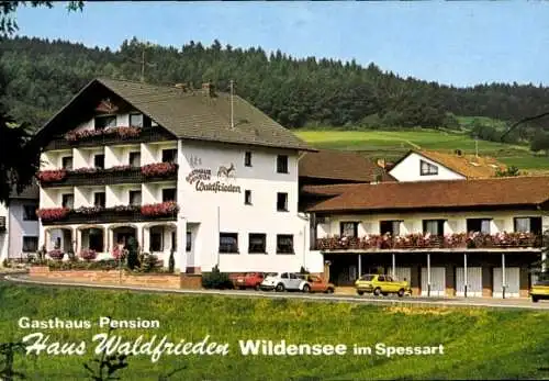 Ak Wildensee Eschau im Spessart, Haus Waldfrieden, Außenansicht, Autos, Balkon