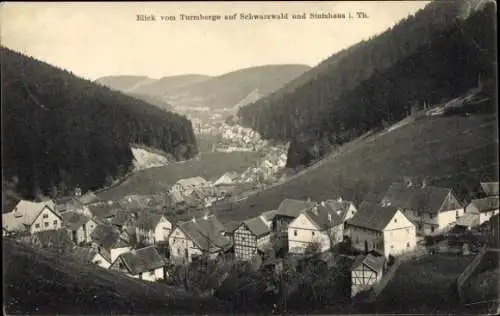 Ak Schwarzwald Stutzhaus Luisenthal im Thüringer Wald, Blick vom Turmberge