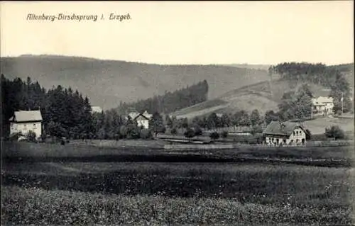 Ak Hirschsprung Altenberg Erzgebirge, Panorama