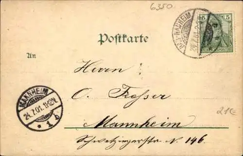 Ak Bad Nauheim in Hessen, Panorama vom Ort, Dampfeisenbahn