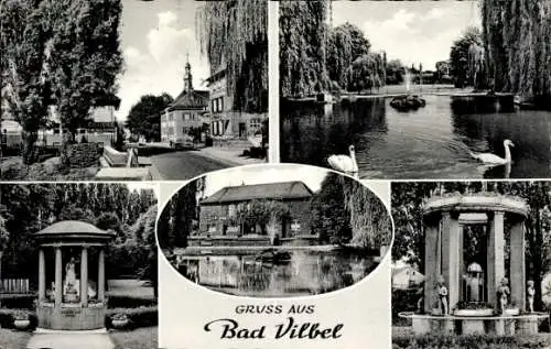 Ak Bad Vilbel in Hessen, Parkanlage, Pavillon , Teich, Springbrunnen, Schwäne