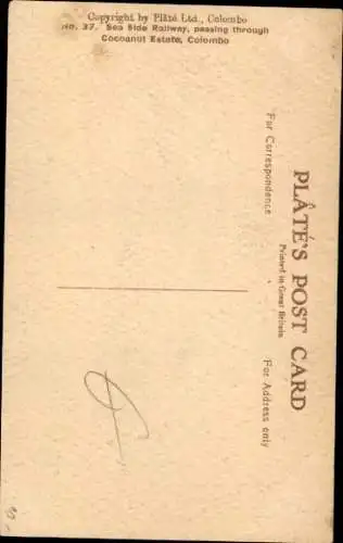 Ak Colombo Ceylon Sri Lanka, Sea Side Railway passing through Cocoanut Estate