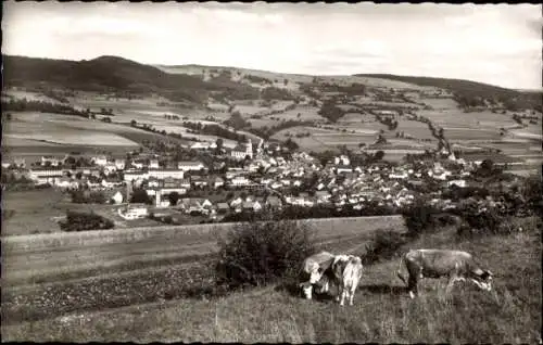 Ak Hilders in der Rhön, Panorama, Rinder, Buchschirmküppel