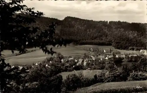 Ak Goldmühl Bad Berneck im Fichtelgebirge Bayern, Panorama