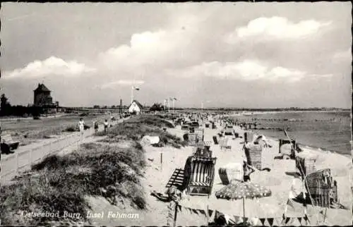 Ak Burg auf der Insel Fehmarn, Strand