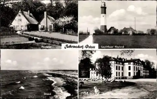 Ak Behrensdorf an der Ostsee Holstein, Försterei, Leuchtturm Neuland, Schloss Waterneverstorf