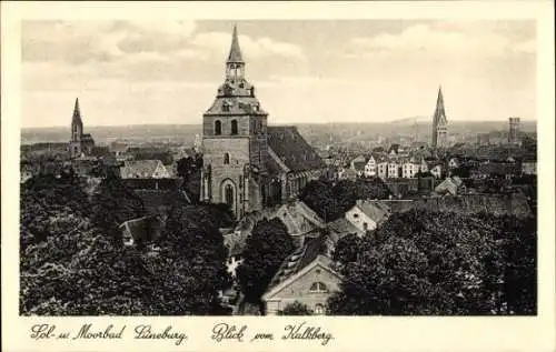 Ak Lüneburg in Niedersachsen, Blick vom Kalkberg, Kirchen