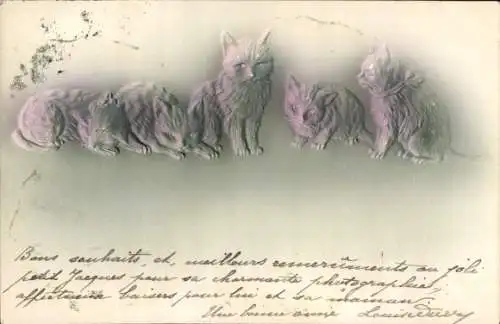 Relief Ak Katzen, Hauskatzen, Tierportrait